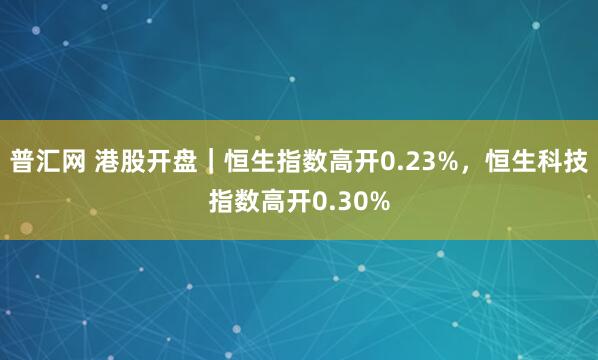 普汇网 港股开盘｜恒生指数高开0.23%，恒生科技指数高开0.30%