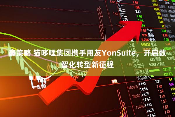 鑫策略 猫哆哩集团携手用友YonSuite，开启数智化转型新征程