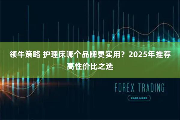 领牛策略 护理床哪个品牌更实用？2025年推荐高性价比之选