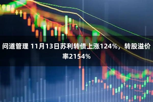 问道管理 11月13日苏利转债上涨124%，转股溢价率2154%